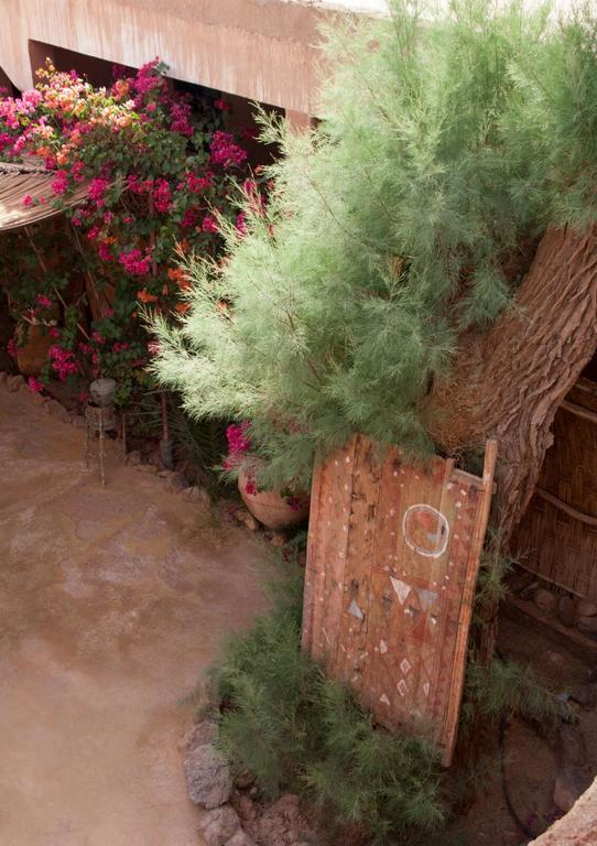 Auberge L'Oasis Foum Zguid Kültér fotó